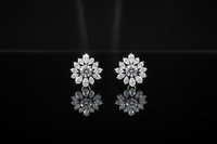 High-end earrings set